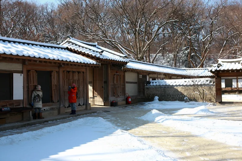 창덕궁 후원 겨울