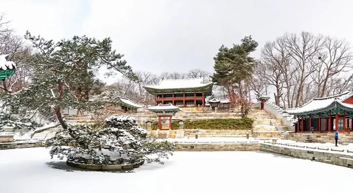 창덕궁 후원 설경 / 사진=게티이미지뱅크