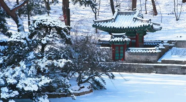 창덕궁 후원 겨울 / 사진=한국관광공사 김지호