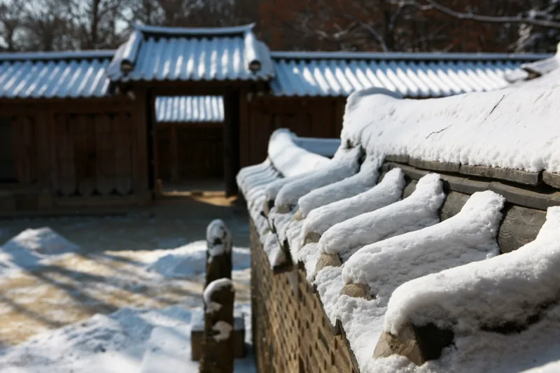 창덕궁 후원 겨울