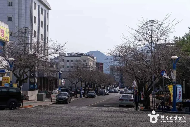 부곡온천 관광특구