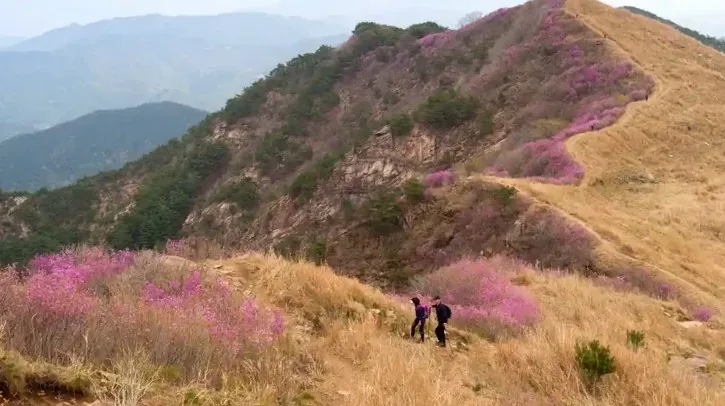 화왕산 트레킹 / 사진=게티이미지뱅크