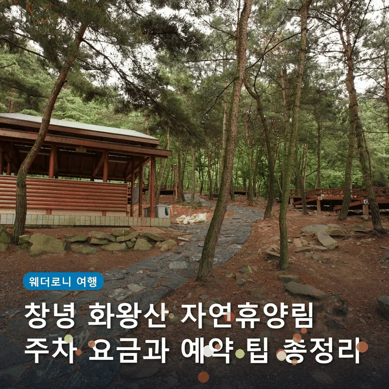 창녕 화왕산 자연휴양림 주차 요금과 예약 팁 총정리