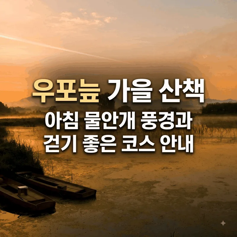 우포늪 가을 산책, 아침 물안개 풍경과 걷기 좋은 코스 안내