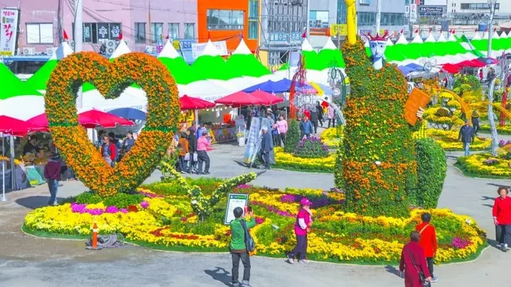 마산가고파국화축제 / 사진=ⓒ한국관광공사 두드림