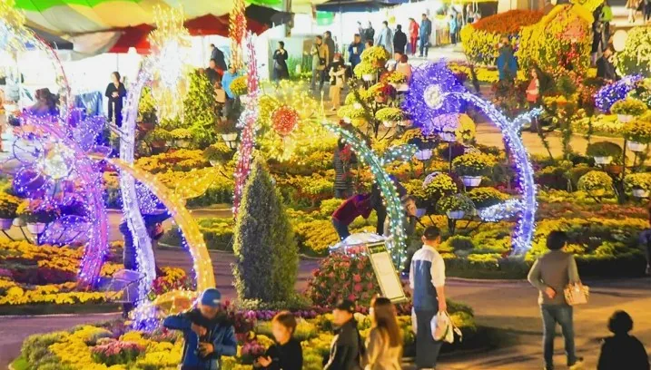 마산가고파국화축제 야경 / 사진=ⓒ한국관광공사 두드림
