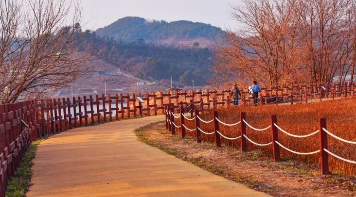 주남저수지 둑길 / 사진=창원시 공식 블로그 이계월