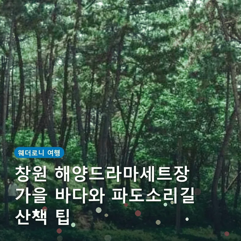 창원 해양드라마세트장 가을 바다와 파도소리길 산책 팁