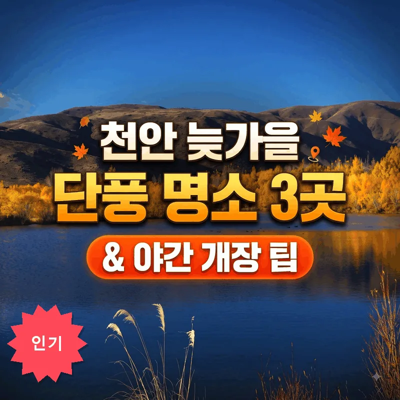 늦가을 완벽한 천안 단풍 명소 3곳과 야간개장 팁