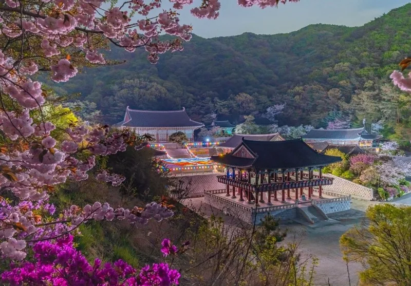 각원사 상세이미지1