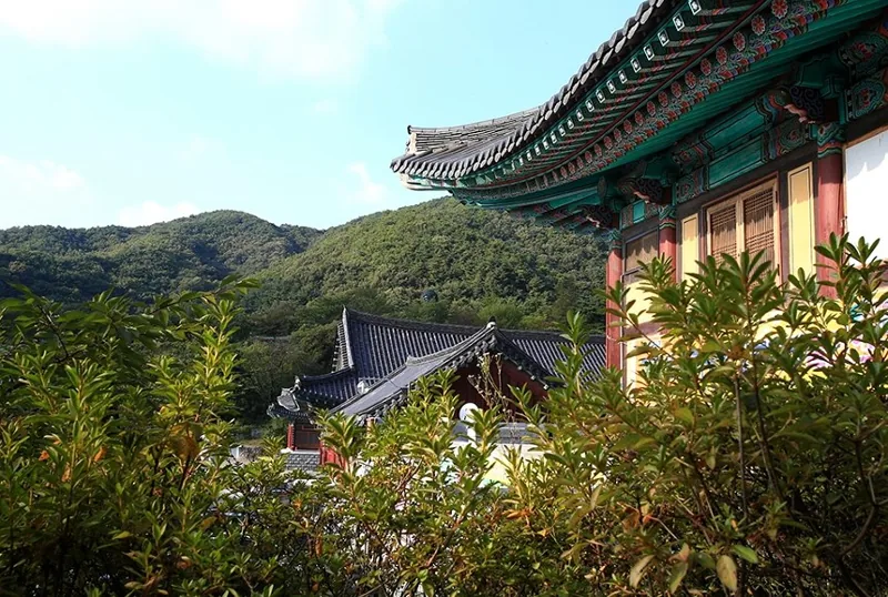 각원사 상세이미지10