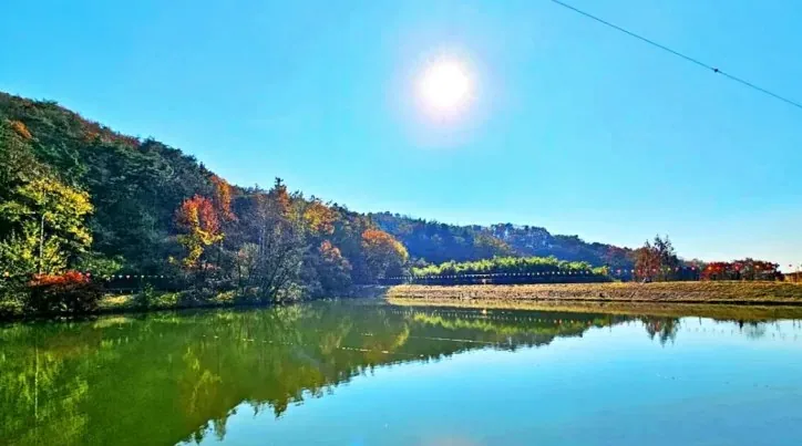 각원사 연화지 / 사진=충청남도청