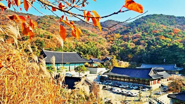 각원사 모습 / 사진=충청남도청