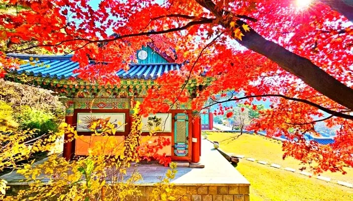각원사 풍경 / 사진=충청남도청