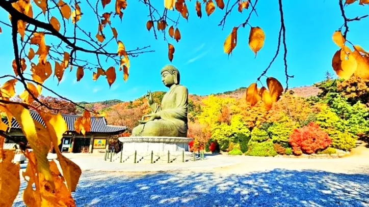 각원사 청동대불 / 사진=충청남도청