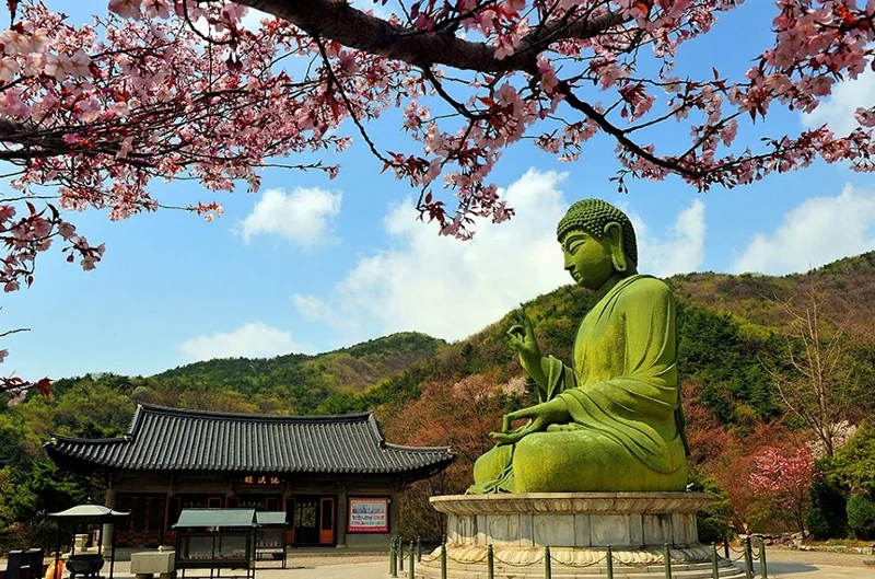 각원사 상세이미지6