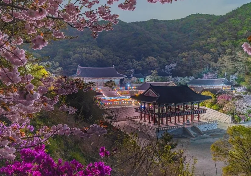 각원사 상세이미지8