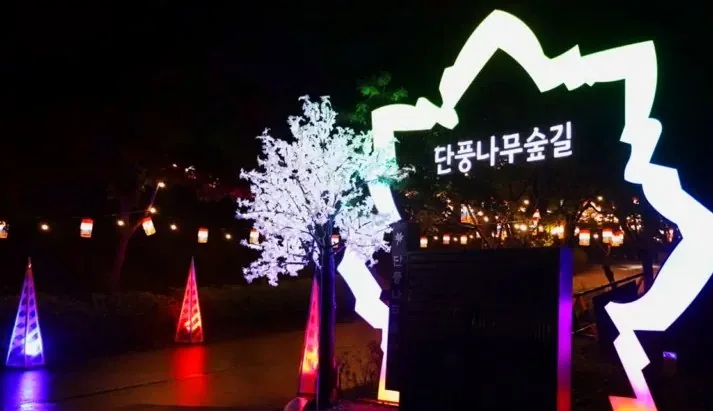 단풍나무숲길 야간개장 / 사진=독립기념관