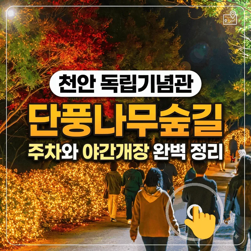 천안 독립기념관 단풍나무숲길 주차와 야간개장 완벽 정리