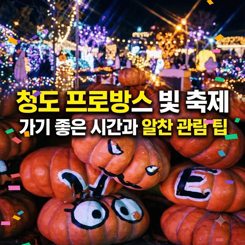 청도 프로방스 빛 축제 가기 좋은 시간과 알찬 관람 팁