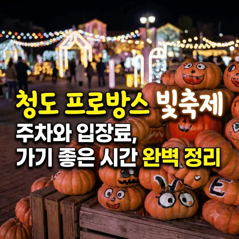청도 프로방스 빛축제 주차와 입장료 가기 좋은 시간 완벽 정리