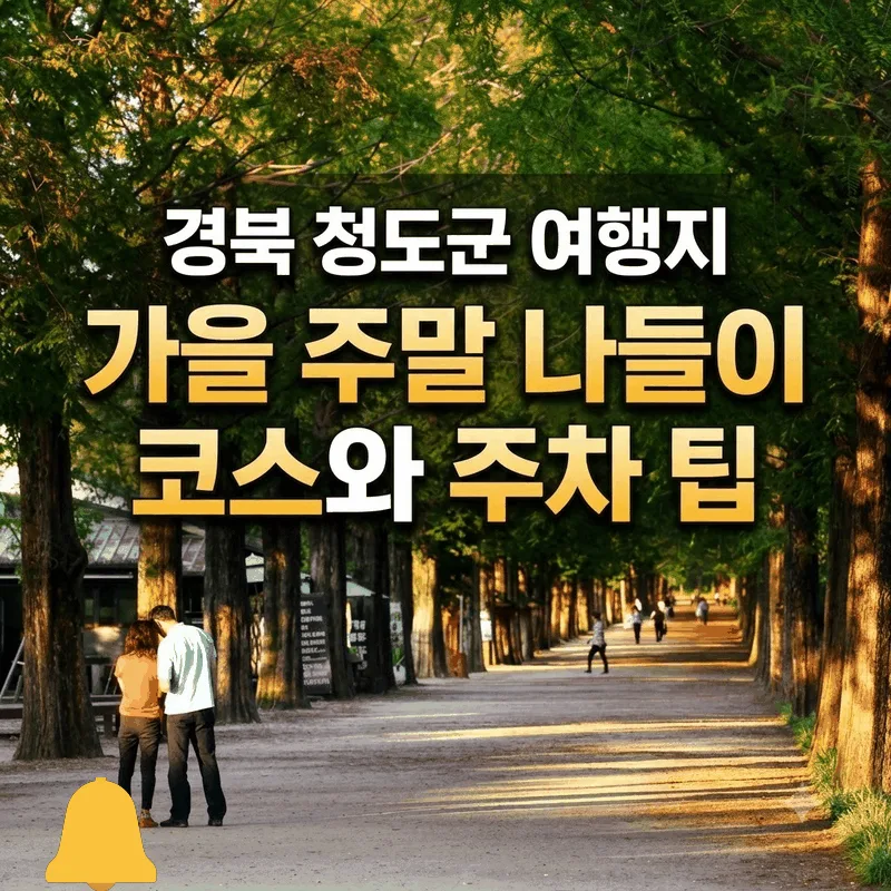 경북 청도군 여행지 가을 주말 나들이 코스와 주차 팁