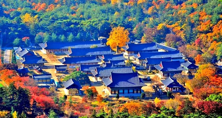청도 운문사 전경 / 사진=한국관광콘텐츠랩