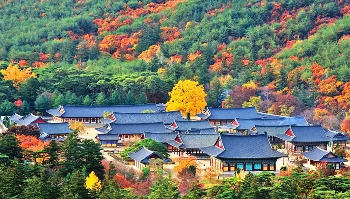 청도 운문사 / 사진=게티이미지뱅크