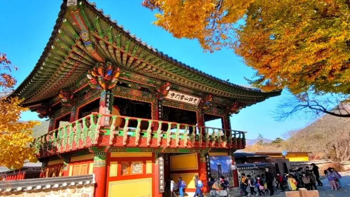가을의 운문사 / 사진=청도군 공식 블로그 이수이