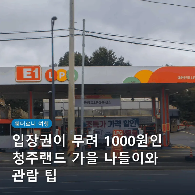 입장권이 무려 1000원인 청주랜드 가을 나들이와 관람 팁