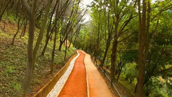 미동산수목원 황톳길 / 사진=청주 문화관광