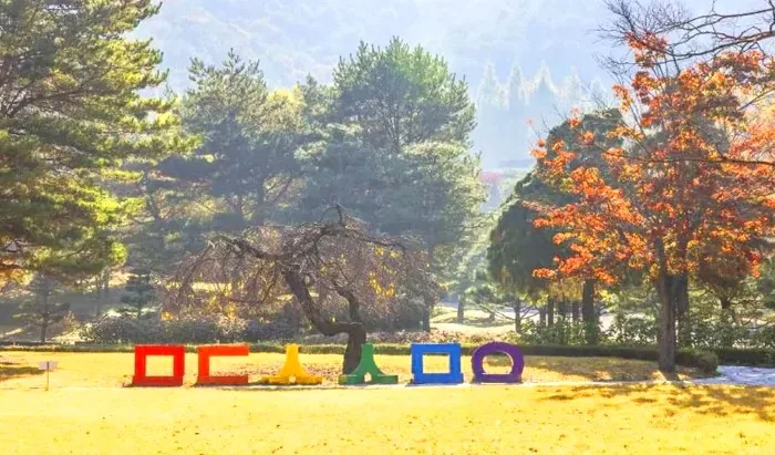 미동산수목원 모습 / 사진=한국관광콘텐츠랩