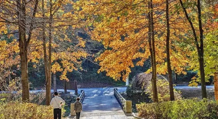 미동산수목원 풍경 / 사진=한국관광콘텐츠랩