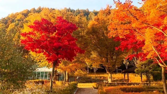 미동산수목원 풍경 / 사진=청주시청 공식 블로그 김가연