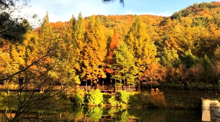 미동산수목원 전경 / 사진=청주시청 공식 블로그 김가연
