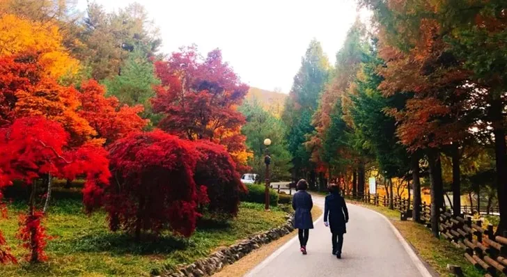 미동산수목원 / 사진=청주시청 공식 블로그 김가연