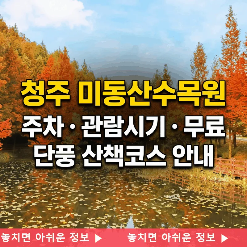 청주 미동산수목원 주차와 가기 좋은 시간 무료 단풍 산책 코스 안내