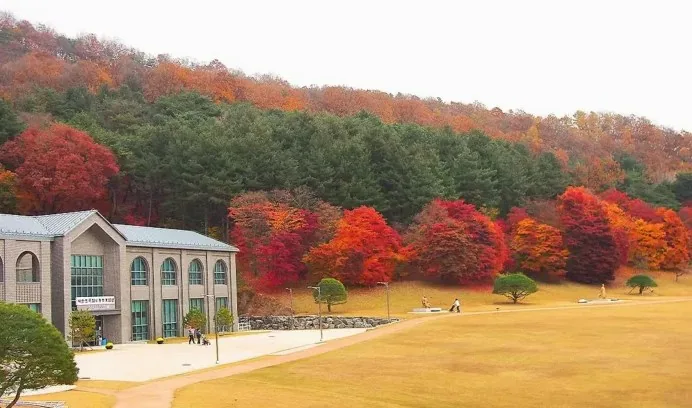 청남대 단풍 풍경 / 사진=청남대