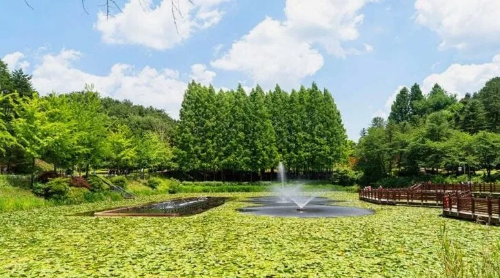 청남대 양어장 호수 / 사진=한국관광콘텐츠랩