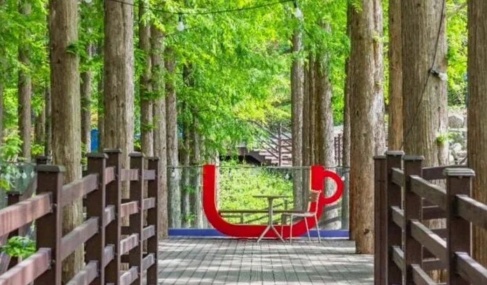 청남대 양어장 메타세쿼이아 데크로 / 사진=한국관광콘텐츠랩