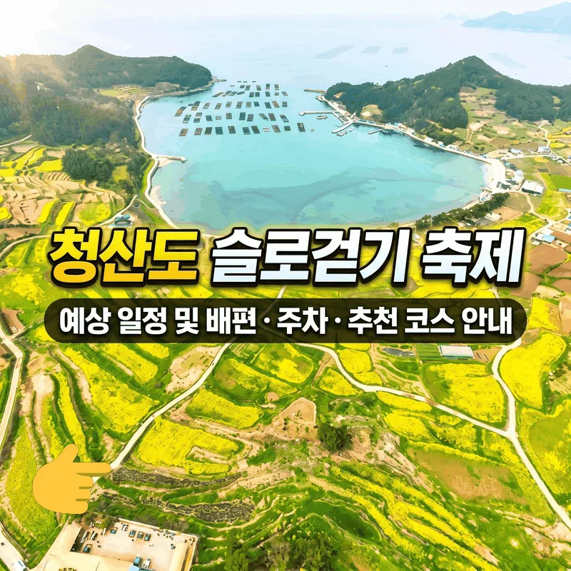 청산도 슬로걷기 축제 예상 일정과 배편 주차 추천 코스 안내