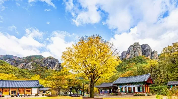 청송 대전사 / 사진=게티이미지뱅크