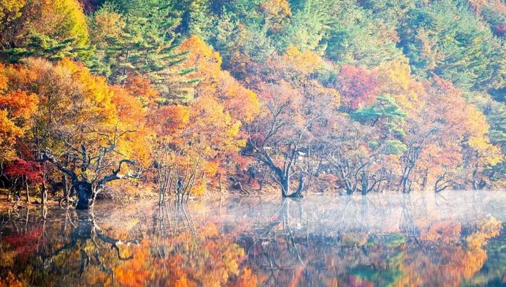 주산지 저수지 / 사진=ⓒ한국관광공사 김지호