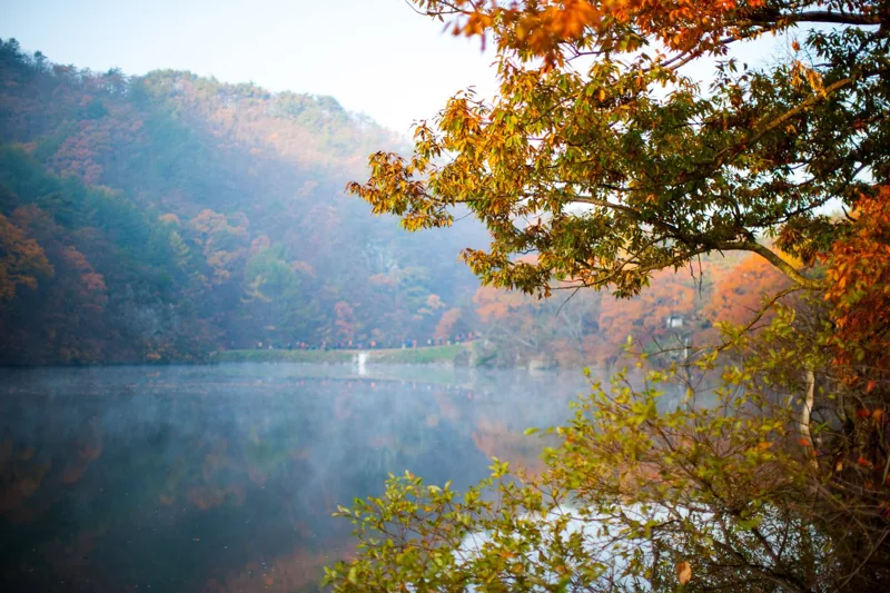 주산지