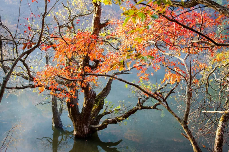 주산지