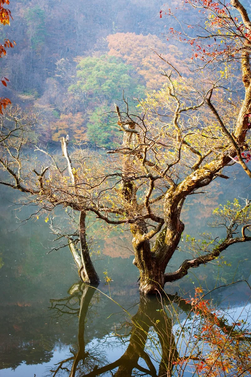 주산지