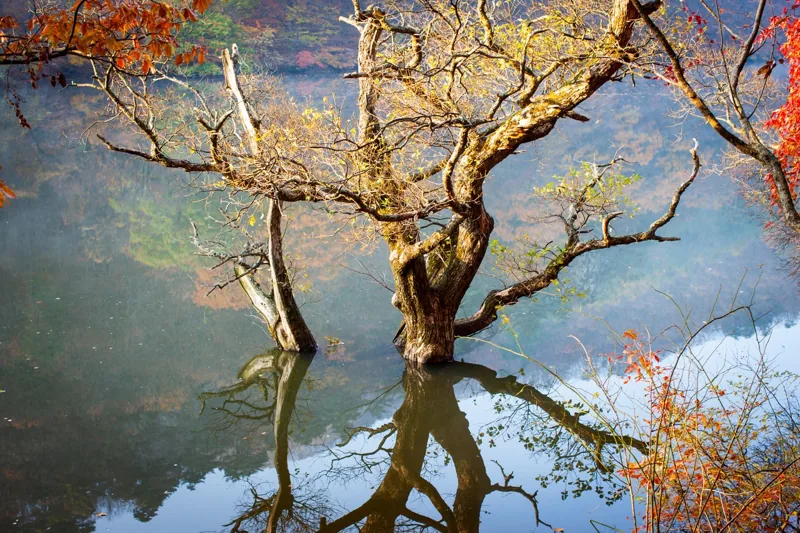 주산지