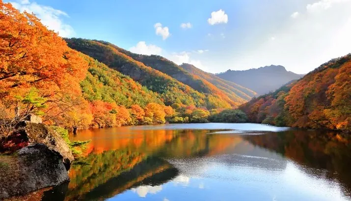 주산지 전경 / 사진=게티이미지뱅크