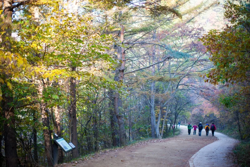 주산지