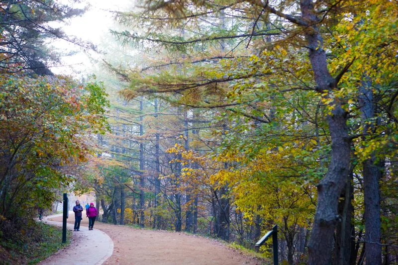 주산지